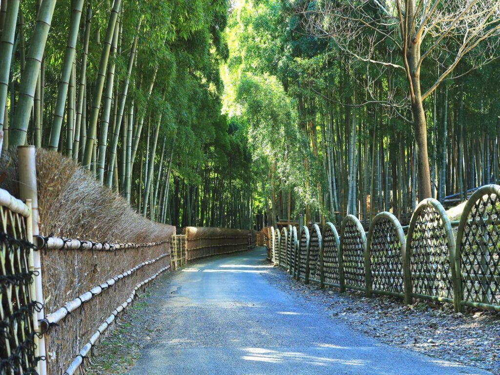 Kyoto’s Muko Bamboo Path and the Artisanal Mastery Behind It