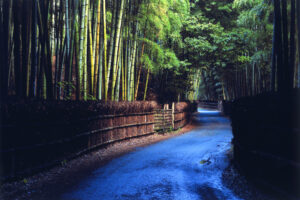 Take-no-Michi (The Muko Bamboo Path)