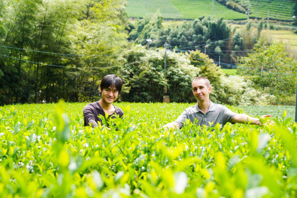 Experience the World of Tea with All Five Senses in “Kyoto Tea Country”